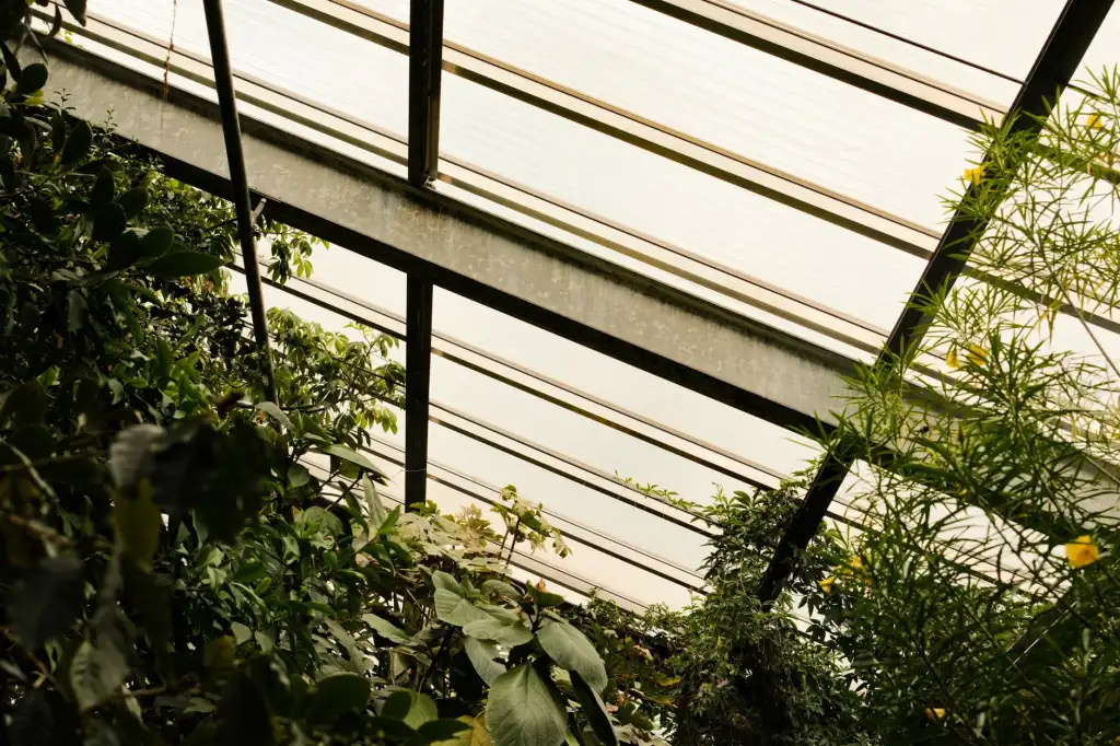 便利店饮品采购指南:上海崧霏贸易有限公司饮料酒水供应方案